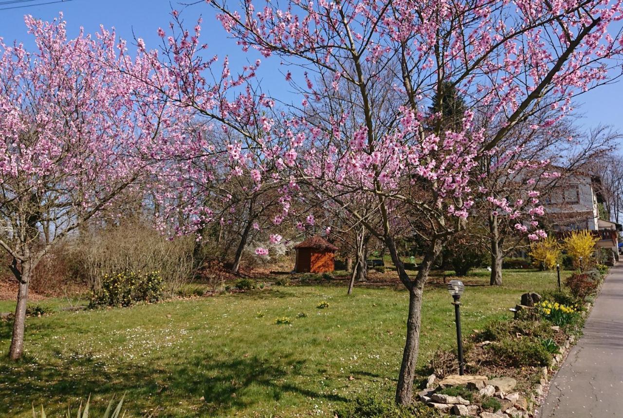 Landgasthof Gaensberg فيسلوخ المظهر الخارجي الصورة